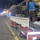 دنه ديانه نقل عفش