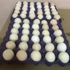 طبق بيض دجاج بلدي يوميا  طازج