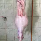 يتوفر لدينا افضل واجود انواع الذبائح الحريه من البر