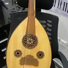 عود مصري