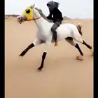حصان