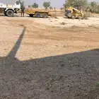 شيول بوبكات للايجار