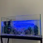 تفصيل وتنسيق حوض سمك ديكور صناعي