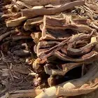 مستورد المدينه