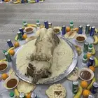 بيت شعر طيب جدا