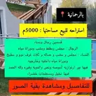 الرياض الخرج الرحمانيه العفجه الريحان الشديده الضبيعه