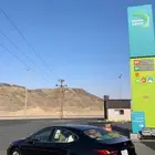 بيشه عسير