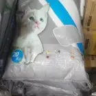 قطط طيور سلااحف اسماك هامستر مستلزمات توصيل