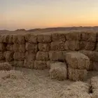 تبن بر ناعم وشده طيب