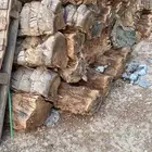 للبيع صلاخ ومحاكر