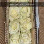 ورد طبيعي جمله