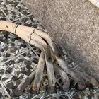 دبه وراس هدرز 3انش