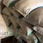 بذر رودس