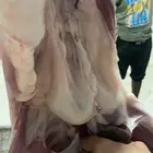 طليان و رخال ذبايح مع السلخ والتوصيل داخل مكه