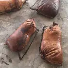 قربة ماء جلد