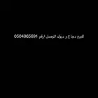 للبيع دجاج