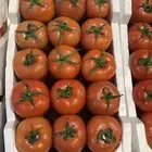 توريد خضار القصيم الطازجة