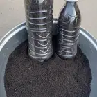 متوفر عسيب شمع صافي