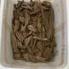 مروكي اصقون دبل سوبر جملة الجلمة