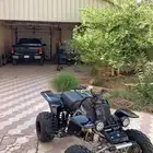 بانشي اسود