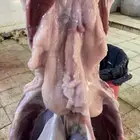 ذبايح وطلبات حريه شامل الذبح والطبخ والتوصيل