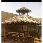 جريد وسعف نخل