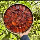 للبيع جميع انواع تمور صفري بيشه وعروض رمضان