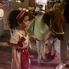 تاجير سيسي خيل للحفلات والمناسبات في الشرقية
