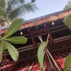 خيام الايجار