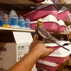 قطط طيور بيع جميع انواع الحيونات