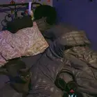 سكوتش فولد بيور