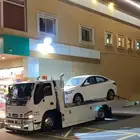 سطحه طريق الرين