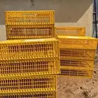 اقفاص او شبك نقل دواجن