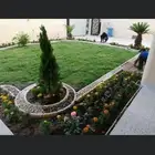 مشتل زهره الجنوب نجران لجميع انواع الاشجار الزينه والمثمره ب