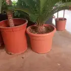 مشتل وتنسيق حدائق الرياض ابو ريان