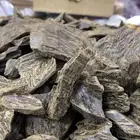 عود الكلمنتان بيور