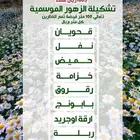 تشكيلة الزهور الموسمية في 11 صنف 100 ريال