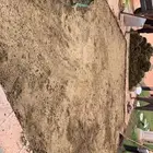 نجيله عشب طبيعي