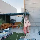 شوي ذبايح