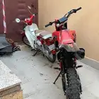 دباب صحراوي مهدي بايك شرط فيها كل شي ورقه جمرك