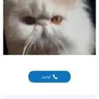 السلام عليكم ورحمة الله وبركاته ابي قط تبني زي هاذ