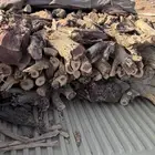 حطب مستورد يابس شرط