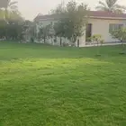 للايجار مزارع مساحات متعدده ام الساهك صفوى