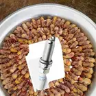 للبيع طيور دخل