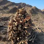 حطب مستورد حملت شاص