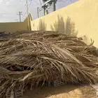 عسبان نخل
