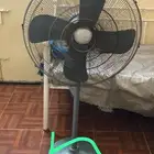 مروحه باكستاتي