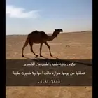 بكره رمانيه