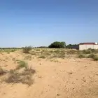 1000متر جنوب ابوعريش