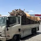 يوجد سعف للبيع بيشه